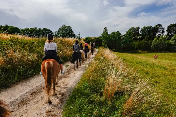 Helgenae Dinamarca Una Mujer Caballo Los Campos — Foto de Stock