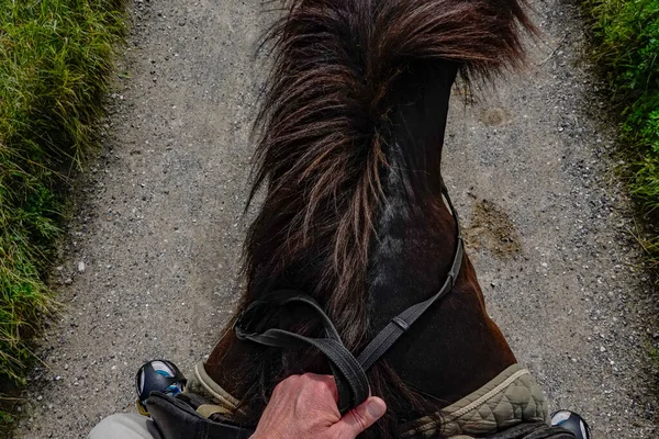 Helgenaes Denemarken Een Man Houdt Teugels Handen Tijdens Het Paardrijden — Stockfoto