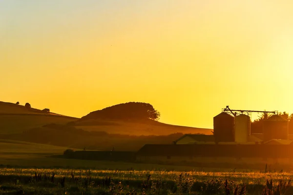 Hirtshals Dinamarca Paisaje Granja Amanecer —  Fotos de Stock