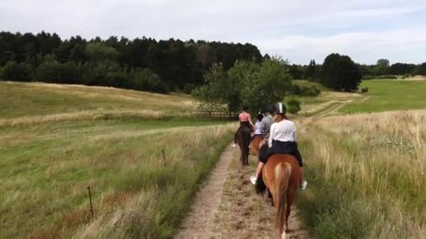 Hirtshals Dinamarca Grupo Pessoas Cavalo — Vídeo de Stock