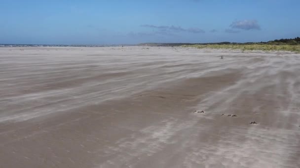 デンマークのヒルトシャルビーチで砂が塵のように吹いている — ストック動画