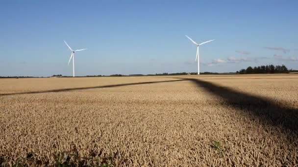 Hirtshals Dinamarca Aerogenerador Girando Viento — Vídeos de Stock