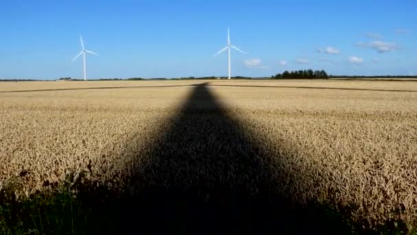 デンマークのHirtshals風で回転する風力タービン — ストック動画