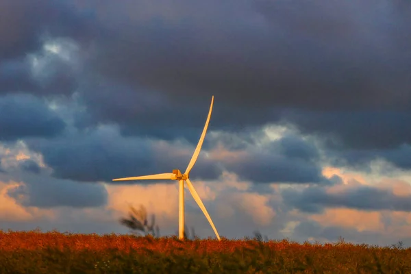 Hirtshals, Denmark A wind turbine blowing in the wind and a field at sunset.