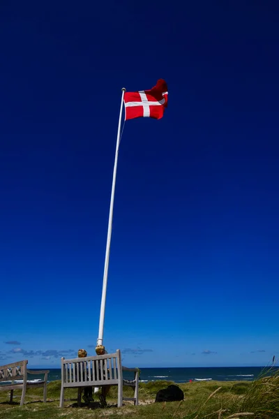 デンマークのスビンコフ2人の男の子がデンマークの旗の下に座っているビーチで犬と一緒に — ストック写真