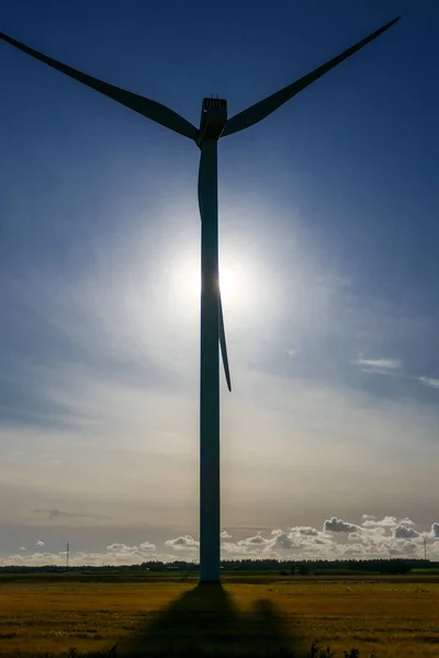 Hjorring Denmark Wind Turbine Looks Cross Field Wheat — Stock Photo, Image