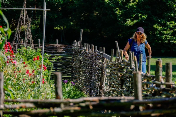 Estocolmo Suecia Una Mujer Pasea Por Jardín Comunitario Florece —  Fotos de Stock