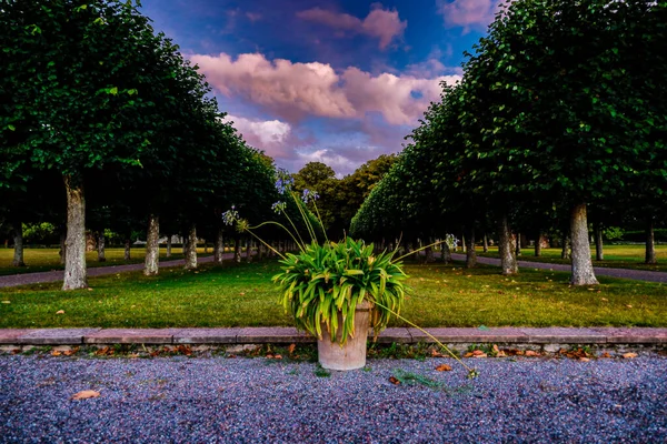 Stockholm, İsveç Ulriksdalları Şafak ve sokak arasında ağaçlarla dolu.