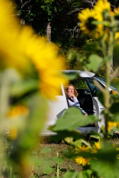 Nynas, Sweden A woman sunning in a car seat in a  field of sunflowers