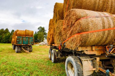 Frykerud, İsveç Varmland bölgesindeki Hay tarlaları.