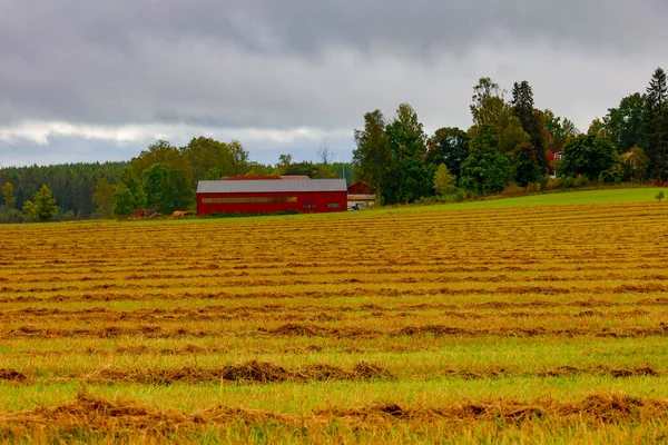 Frykerud Schweden Heufelder Der Provinz Varmland — Stockfoto