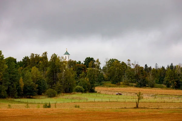Frykerud Sweden Hay Fields Provinve Varmland — стокове фото
