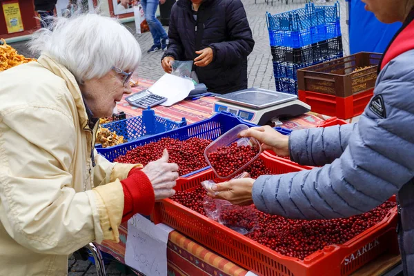 Enkoping Szwecja Starsza Kobieta Kupuje Lingonberry Stoisku Centrum Miasta — Zdjęcie stockowe