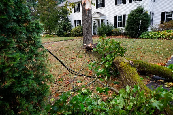 Concord, Massachusetts, ABD Ağacı fırtınadan sonra bir banliyö evinde hasar gördü.