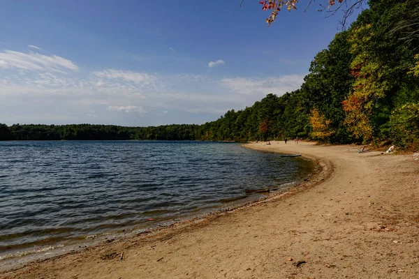 Concord Massachusetts Usa Walden Pond Und Der Strand — Stockfoto