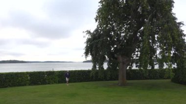 Stockholm, İsveç. Malaren Gölü kıyısında bir adam halka açık bir parkta yürüyor.. 