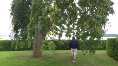 Stockholm, İsveç. Malaren Gölü kıyısında bir adam halka açık bir parkta yürüyor.. 