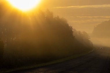 Mariefred, İsveç Sisli bir şafak manzarası ve yol.