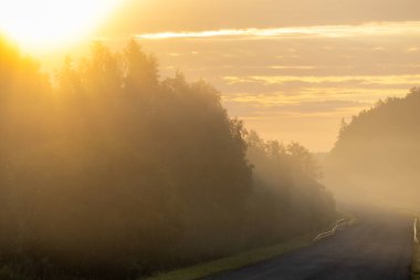 Mariefred, İsveç Sisli bir şafak manzarası ve yol.