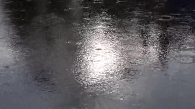 Stockholm, İsveç Göle hafif bir yağmur yağdı. 