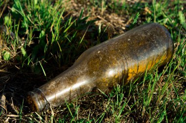 Doğada çöp, cam şişe yerde yatıyor. Çevre kirliliği.