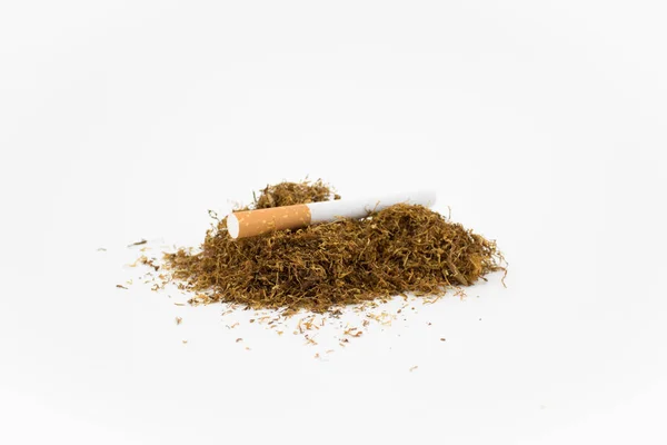Πούρο σε ένα σωρό από φυσικό καπνό σε λευκό φόντο. Αποξηραμένα φυτά. — Φωτογραφία Αρχείου