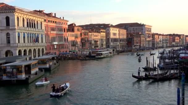 Veneza Itália Julho 2018 Vista Ponte Rialto Grande Canal Veneza — Vídeo de Stock