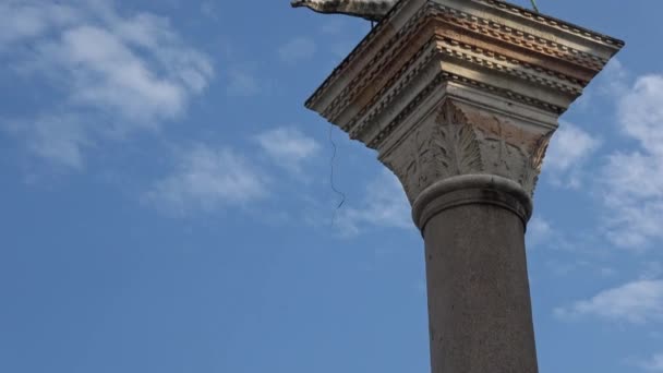 ヴェネツィアのサン マルコ広場にある聖テオドールの列 ドージェ宮殿の近く 捨てられた龍の上を歩く聖 — ストック動画