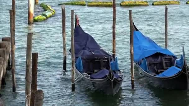 Gondolas Atracado Veneza Itália Gôndolas São Meio Transporte Tradicional Veneza — Vídeo de Stock