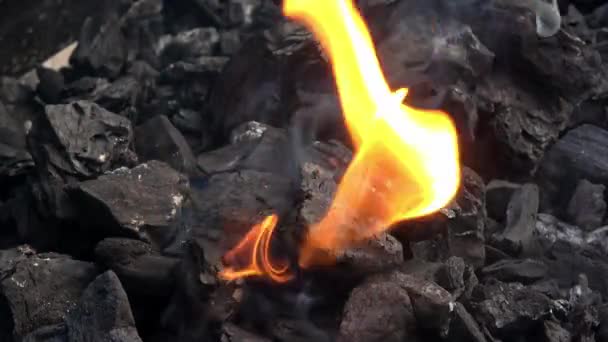 Bin Kömür Barbeküsü Yanıyor Duman Alevler Izgarada Sıcak Kömür Alev — Stok video