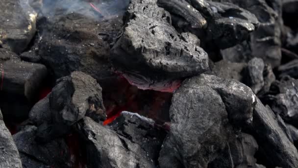 Close Carvão Chamas Churrasqueira Carvão Está Começar Arder Carvão Quente — Vídeo de Stock