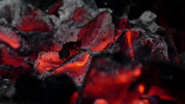 Close Charcoal Burning Glowing Charcoal Barbecue Hot Coal Barbecue Grill — Stock Video