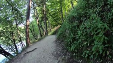 Plitvice Gölleri, Hırvatistan-20 Temmuz 2018: 4K. Hırvatistan 'da güzel bir yer olan Plitvice Gölleri Ulusal Parkı' nda iki turist yürüyor. Plitvice Gölleri en popüler turistik merkezdir.