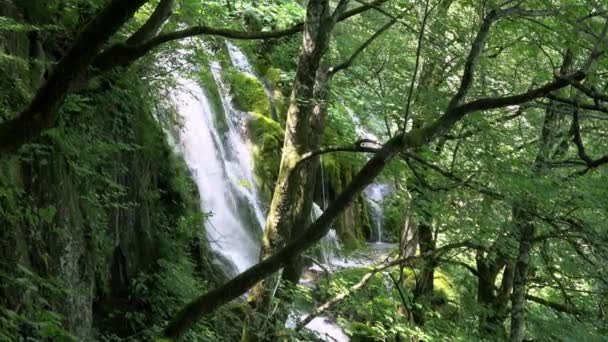 Wasserfall Nationalpark Plitvicer Seen Einem Wunderschönen Ort Kroatien Die Plitvicer — Stockvideo