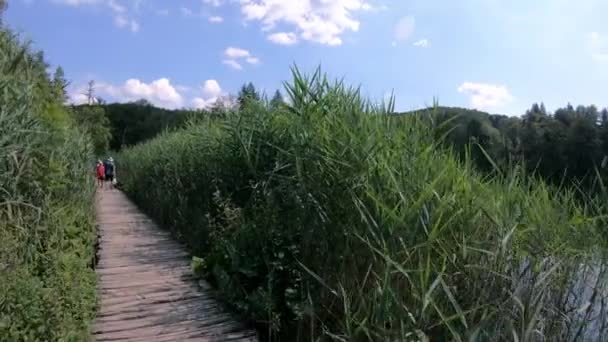 Plitvicesjöarna Kroatien Juli 2018 Turister Promenerar Plitvicesjöarnas Nationalpark Vacker Plats — Stockvideo