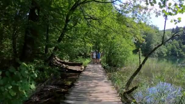 Plitvicesjöarna Kroatien Juli 2018 Grupp Turister Går Plitvicesjöarnas Nationalpark Vacker — Stockvideo