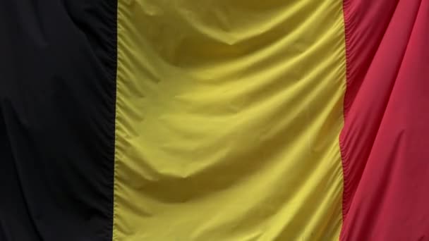 Великий Прапор Бельгії Рухається Крізь Вітер Державний Прапор Бельгії Махає — стокове відео