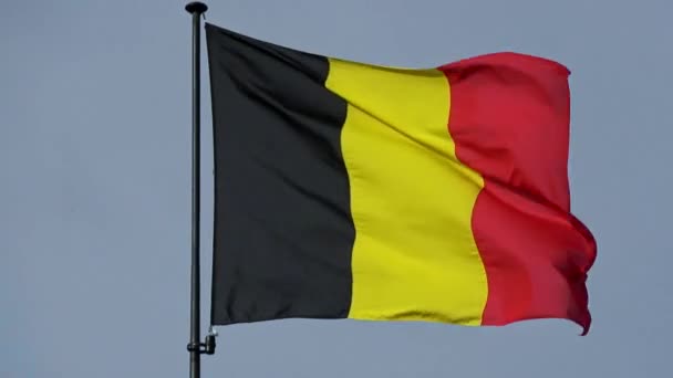 Die Flagge Belgiens Weht Wind Einem Mast Die Nationalflagge Des — Stockvideo