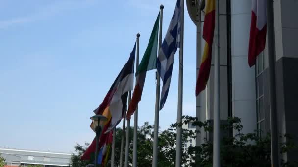 Vlajky Zemí Evropské Unie Vlní Před Evropským Parlamentem Belgickém Bruselu — Stock video