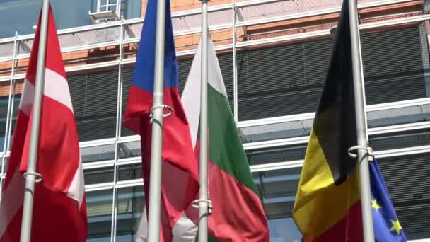 Alcune Bandiere Dei Paesi Dell Unione Europea Sventolano Nel Quartiere — Video Stock