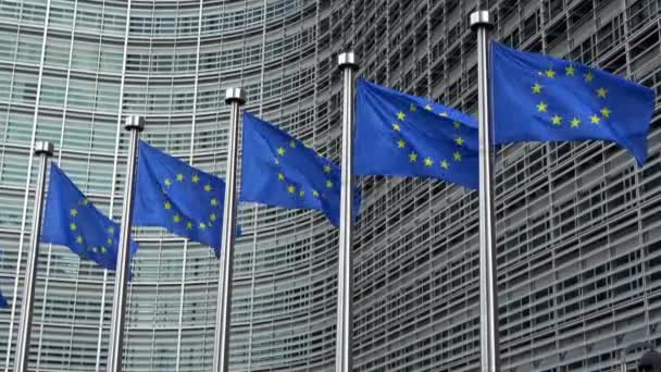 Bandiere Dell Unione Europea Sventolanti Fila Davanti Alla Commissione Europea — Video Stock