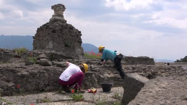 Pompeya Italia Mayo 2018 Dos Arqueólogos Están Trabajando Una Excavación — Vídeos de Stock