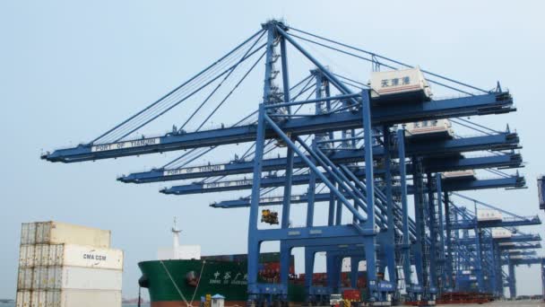 Tianjin, China, Jul 04 2017-Envío de carga a puerto por grúa, tianjin, china . — Vídeo de stock