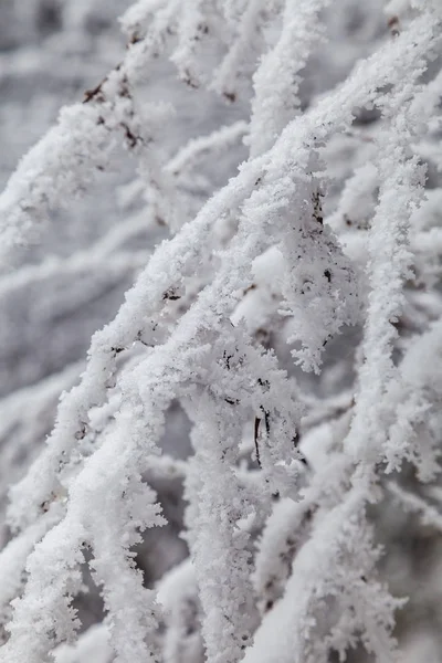 Frozen Winter Landscape in sichuan,China. — Stock Photo, Image