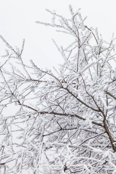 Frozen Winter Landscape in sichuan,China. — Stock Photo, Image