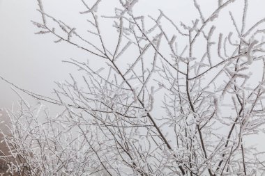 Sichuan Dondurulmuş Kış Manzara, Çin.