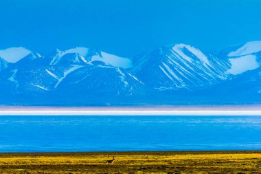 Hala Lake and snow capped Qilian mountain range ,Qinghai-Tibet Platea,China clipart
