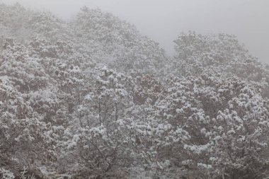 Sichuan Dondurulmuş Kış Manzara, Çin.