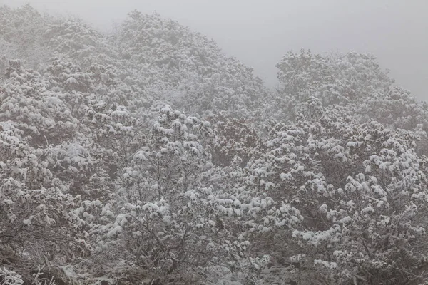 Frozen Winter Landscape in sichuan,China. — Stock Photo, Image