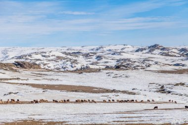 Kışın Kuzey Xinjiang 's, sonw and ice world, xinjiang, china
